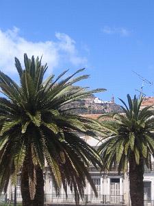 ORAN MAI 2008 2486